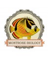 Montrose Biology