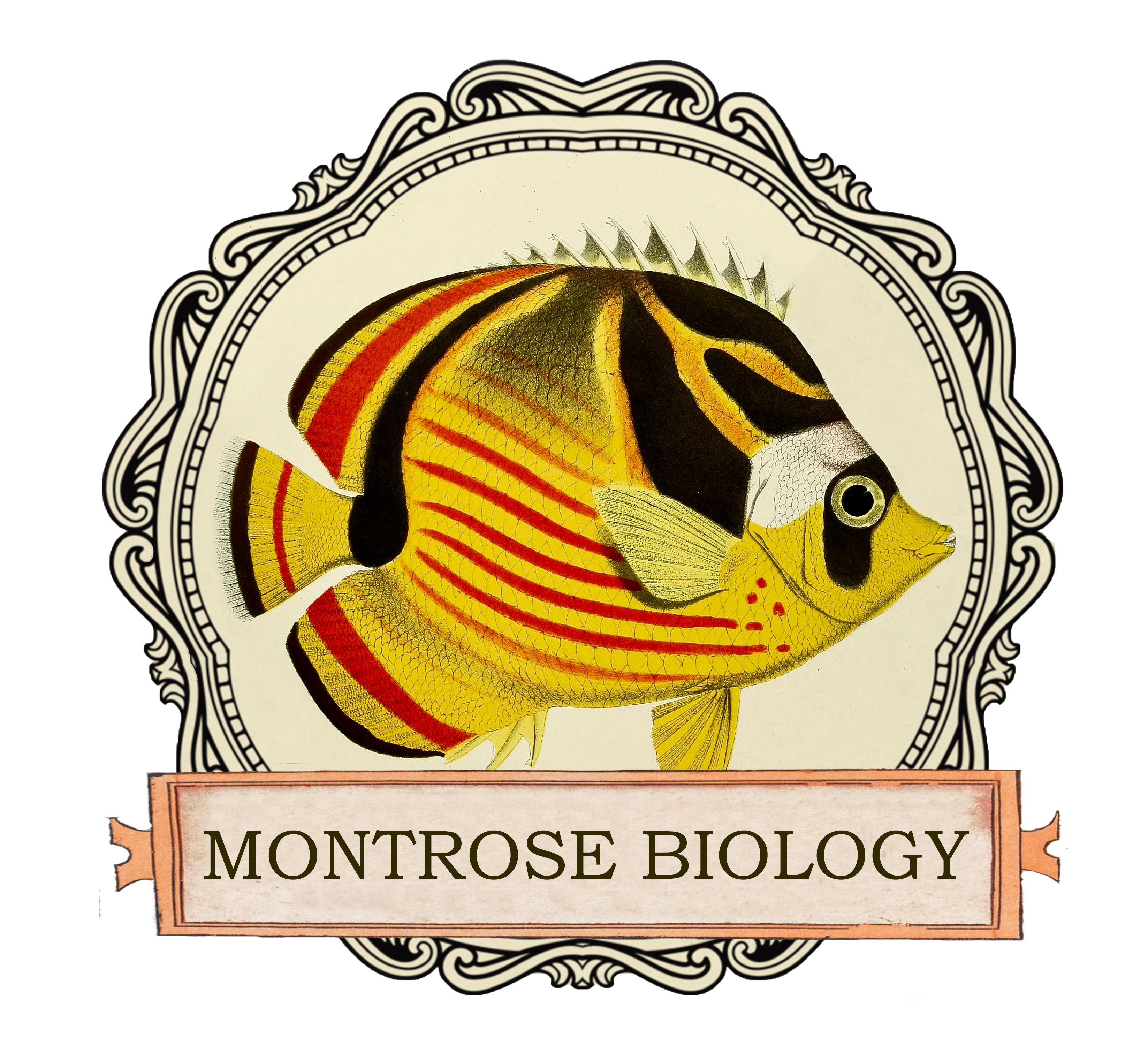 Montrose Biology